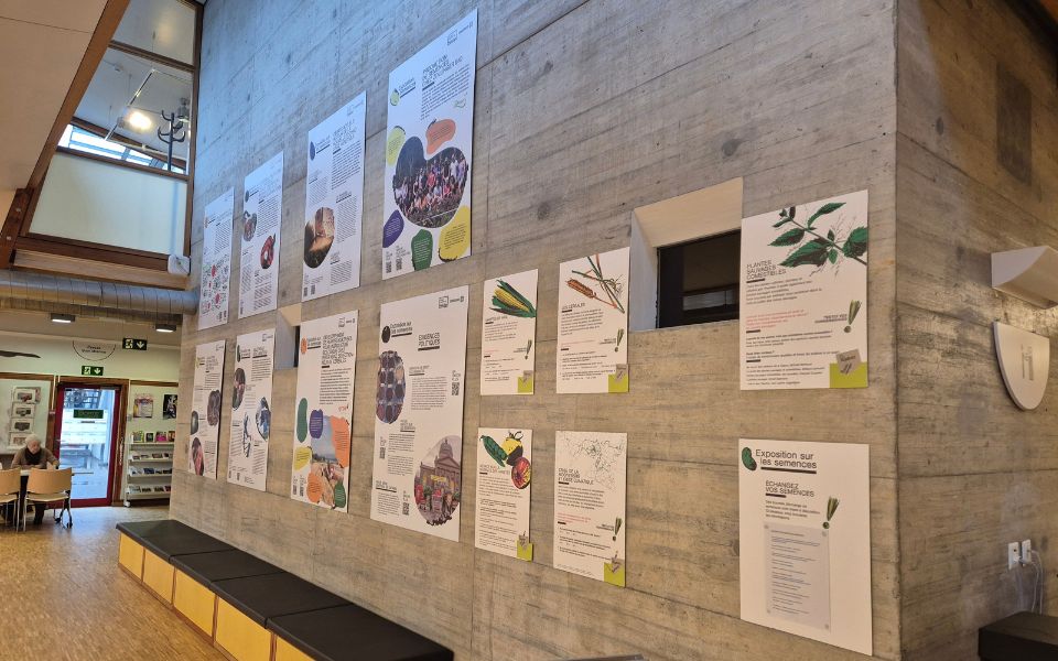 Exposition – Biodiversité en péril !